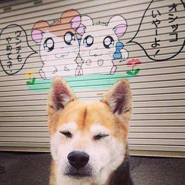 曼联后场出球成功率显著提高,曼联后腰目标