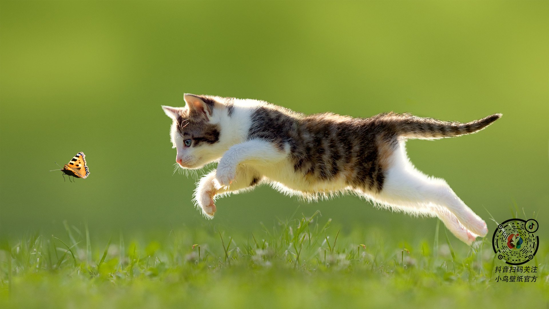 配速策略对比赛成绩的影响，配速策略对比赛成绩的影响大吗