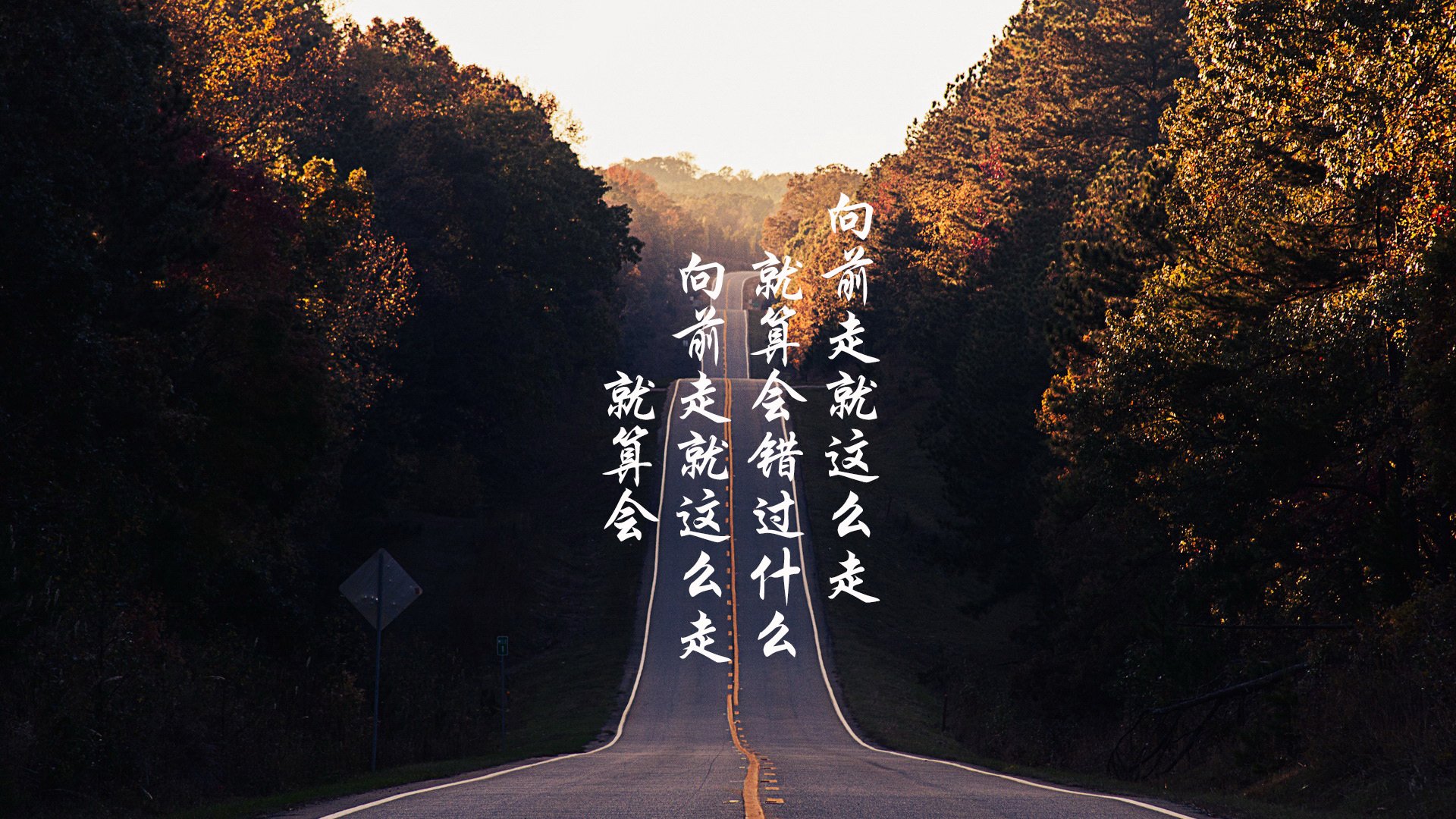 开云kaiyun-“重拳出击！四川省体育馆拳击赛场风云再起”